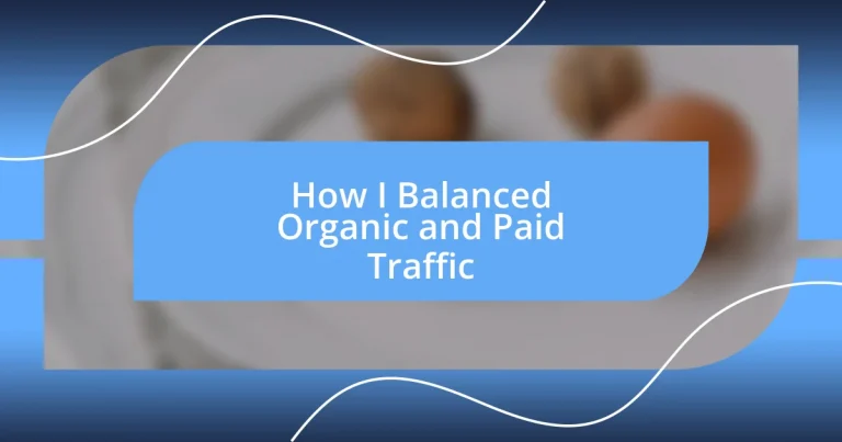 How I Balanced Organic and Paid Traffic